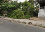 Pohon Tumbang Timpa Kabel PLN, Aliran Listrik di Kelurahan Blambangan Umpu Padam