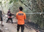 Sempat Dikira Suara Tembakan, Kebakaran Rumpun Bambu di Blambangan Umpu Gegerkan Warga